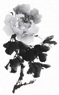 chinese master paintings birds floral c art b0354 A4 Photo Print