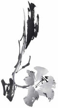 chinese master paintings birds floral c art b0355 A4 Photo Print