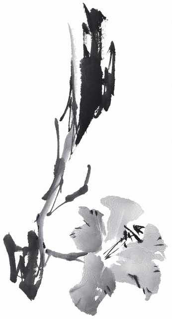 chinese master paintings birds floral c art b0355 A4 Photo Print