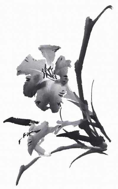 chinese master paintings birds floral c art b0356 A4 Photo Print