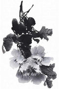 chinese master paintings birds floral c art b0357 A4 Photo Print