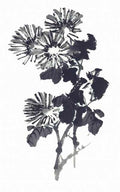chinese master paintings birds floral c art b0358 A4 Photo Print