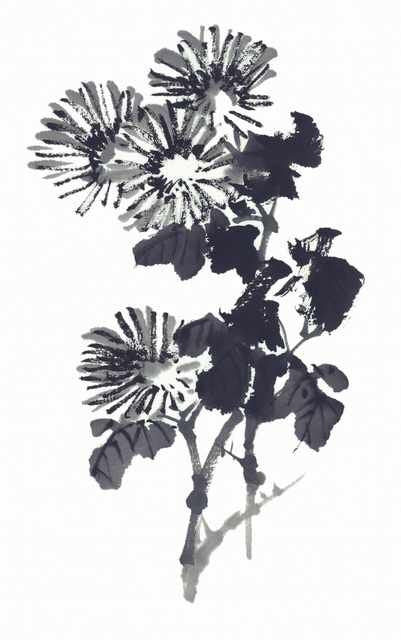 chinese master paintings birds floral c art b0358 A4 Photo Print