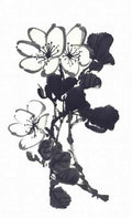 chinese master paintings birds floral c art b0360 A4 Photo Print