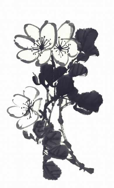 chinese master paintings birds floral c art b0360 A4 Photo Print