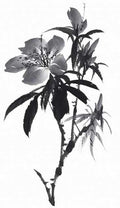 chinese master paintings birds floral c art b0361 A4 Photo Print