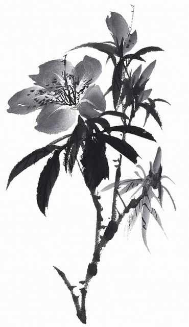 chinese master paintings birds floral c art b0361 A4 Photo Print