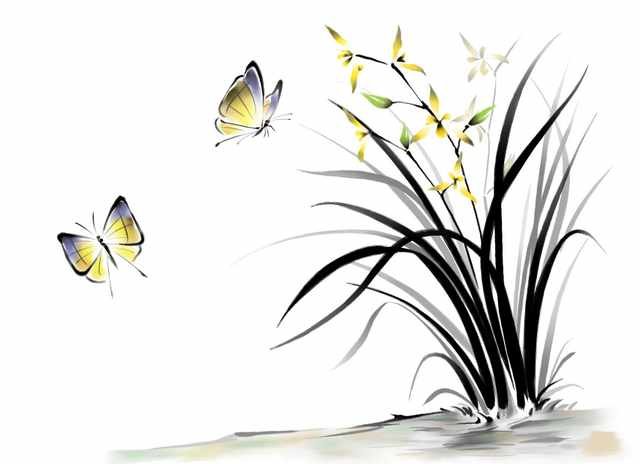 chinese master paintings birds floral c art b0378 A4 Photo Print