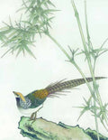 chinese master paintings birds floral c art b039 A4 Photo Print