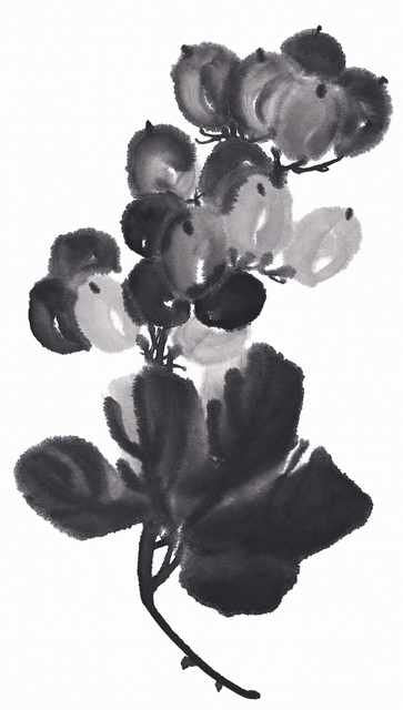chinese master paintings birds floral c art b0391 A4 Photo Print