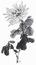 chinese master paintings birds floral c art b0392 A4 Photo Print