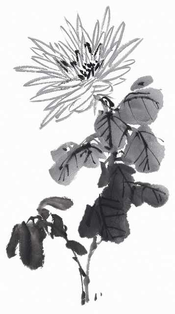 chinese master paintings birds floral c art b0392 A4 Photo Print