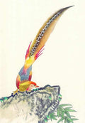 chinese master paintings birds floral c art b069 A4 Photo Print