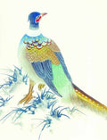 chinese master paintings birds floral c art b071 A4 Photo Print