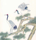 chinese master paintings birds floral c art b080 A4 Photo Print