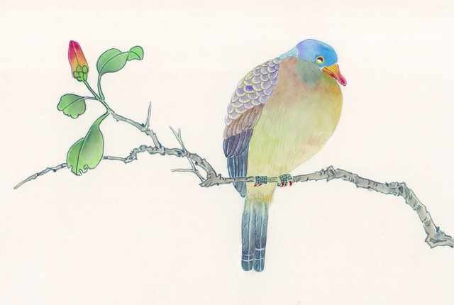chinese master paintings birds floral c art b087 A4 Photo Print