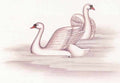 chinese master paintings birds floral c art b089 A4 Photo Print