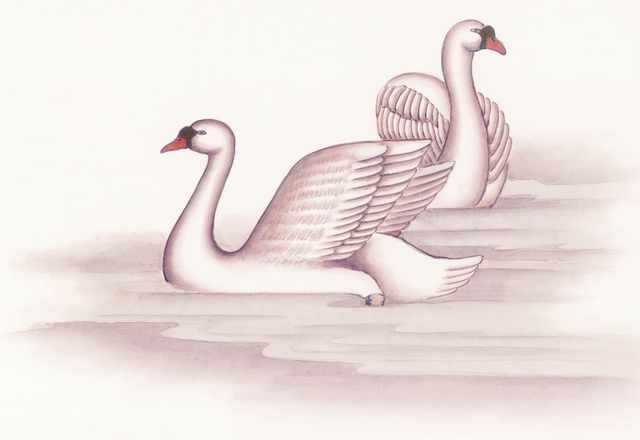 chinese master paintings birds floral c art b089 A4 Photo Print