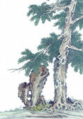 chinese master paintings gu sung c art s032 A4 Photo Print