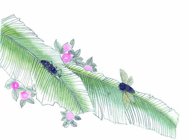 chinese master paintings insects c art i016 A4 Photo Print