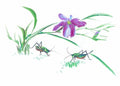 chinese master paintings insects c art i020 A4 Photo Print