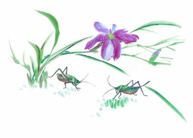 chinese master paintings insects c art i020 A4 Photo Print