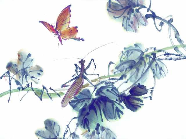 chinese master paintings insects c art i023 A4 Photo Print