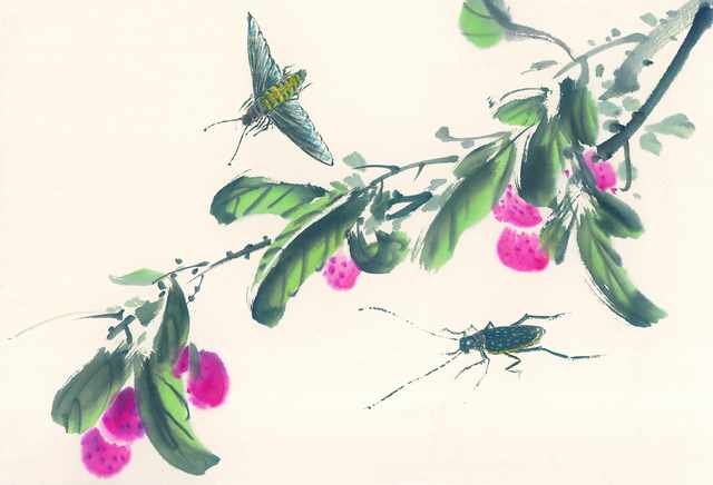 chinese master paintings insects c art i03 A4 Photo Print