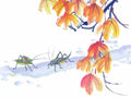 chinese master paintings insects c art i033 A4 Photo Print