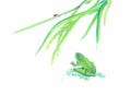 chinese master paintings insects c art i039 A4 Photo Print