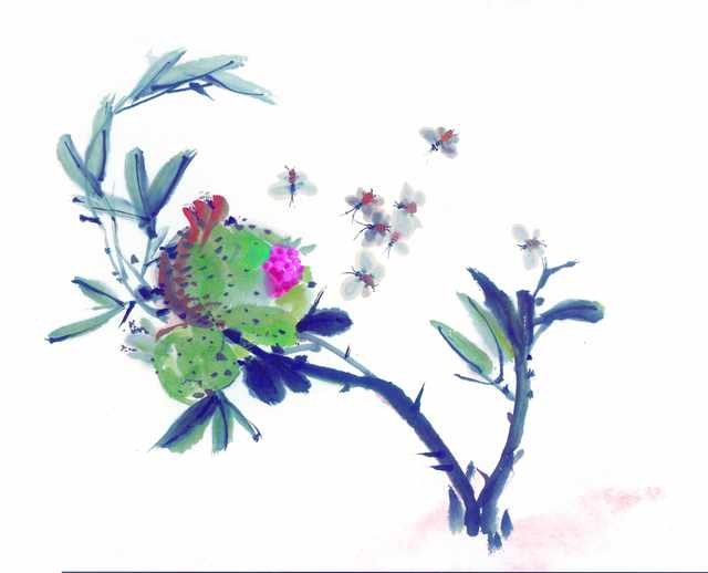 chinese master paintings insects c art i040 A4 Photo Print