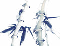 chinese master paintings insects c art i047 A4 Photo Print
