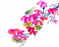 chinese master paintings insects c art i048 A4 Photo Print