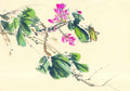 chinese master paintings insects c art i05 A4 Photo Print