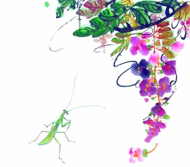chinese master paintings insects c art i051 A4 Photo Print