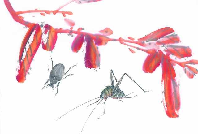 chinese master paintings insects c art i08 A4 Photo Print
