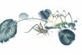 chinese master paintings insects c art i09 A4 Photo Print