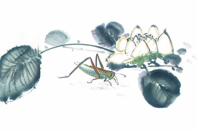 chinese master paintings insects c art i09 A4 Photo Print