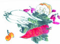 chinese master paintings vegetable fruits c art v01 A4 Photo Print
