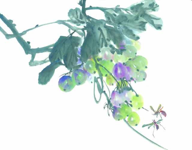 chinese master paintings vegetable fruits c art v024 A4 Photo Print