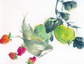 chinese master paintings vegetable fruits c art v037 A4 Photo Print