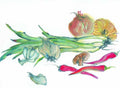 chinese master paintings vegetable fruits c art v043 A4 Photo Print