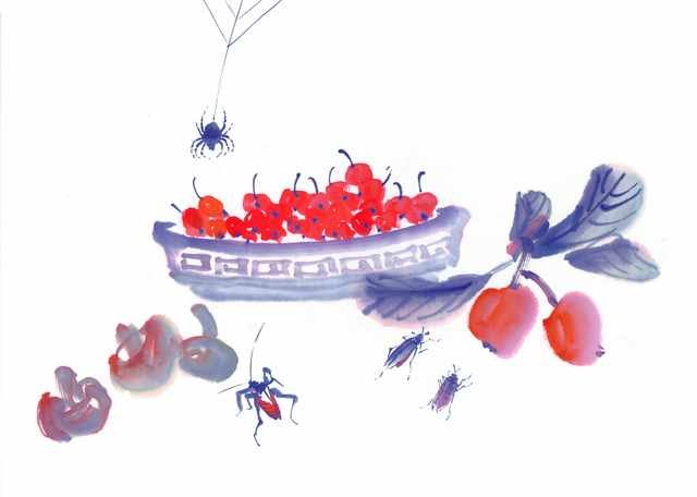 chinese master paintings vegetable fruits c art v044 A4 Photo Print