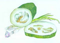 chinese master paintings vegetable fruits c art v045 A4 Photo Print