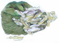 chinese master paintings vegetable fruits c art v050 A4 Photo Print