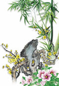 chinese master paintings women nature c art n0494 A4 Photo Print