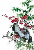 chinese master paintings women nature c art n0497 A4 Photo Print