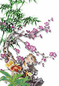 chinese master paintings women nature c art n0498 A4 Photo Print