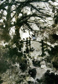 chinese masters paintings fu baoshi fbs0030 A4 Photo Print