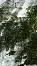 chinese masters paintings fu baoshi fbs0061 A4 Photo Print